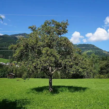 Nyaraló Holiday Ferienhaus Schmiedhausl Fusch an der Glocknerstraße
